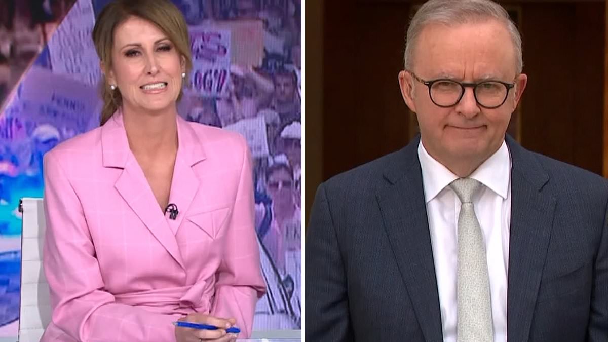 Fiery moment Nat Barr confronts Anthony Albanese about the four words he allegedly said at women’s march – as he refuses to answer a critical question: ‘You can put it to bed now’ [Video]