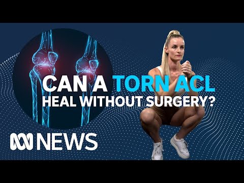 Can a torn ACL heal itself without surgery? | ABC News [Video]
