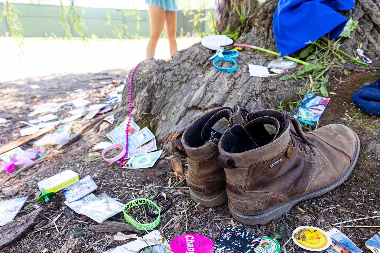 Northern Michigan shoe tree trimmed because it was safety hazard, officials say [Video]