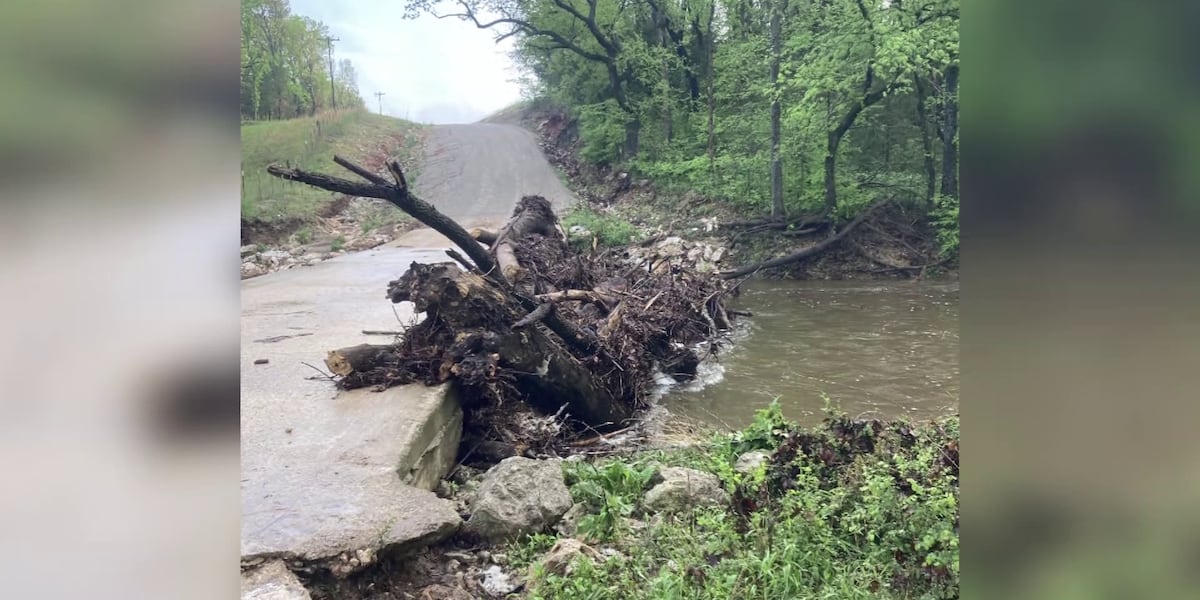 Crews in Webster County working to clear storm debris from roads [Video]