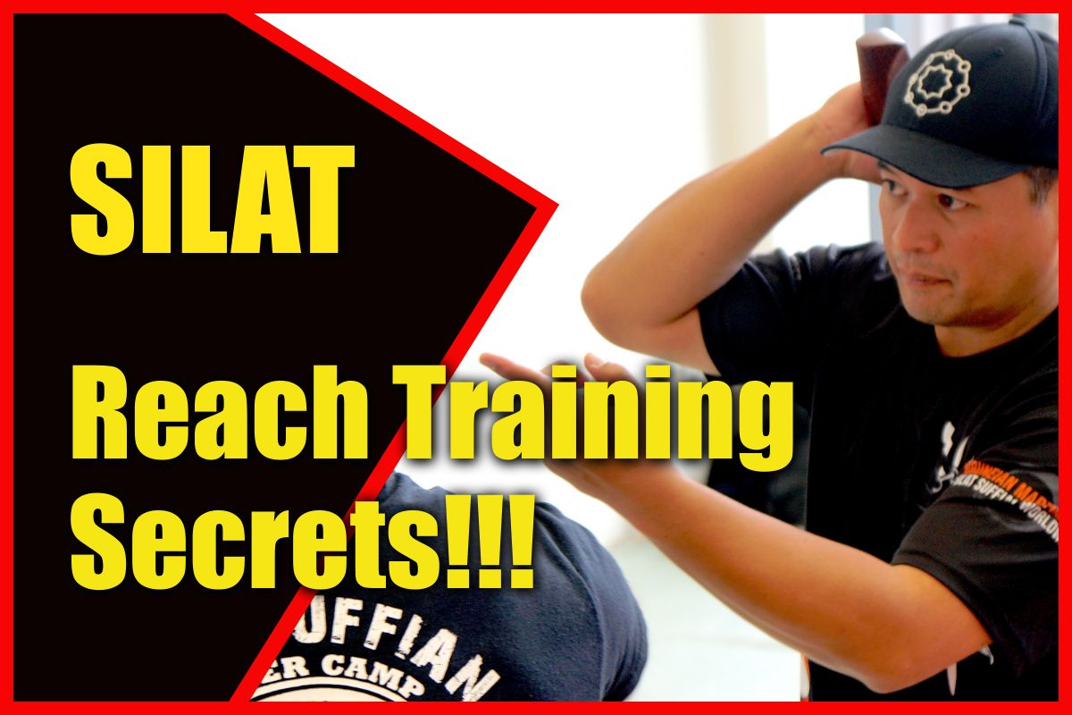 REACH TRAINING SECRETS!!! SILAT | World of Martial Arts [Video]