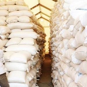 Zambia: 738,000 Tons of Maize Needed for Humanitarian Assistance | News [Video]