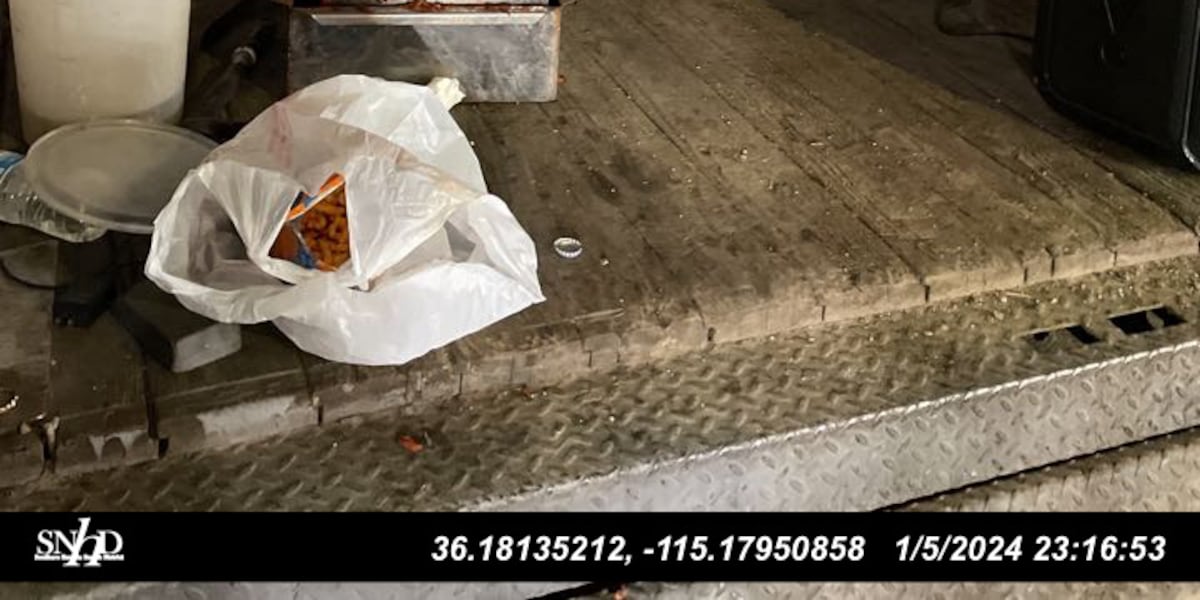 PHOTOS: Health and safety violations from Las Vegas street food vendors [Video]