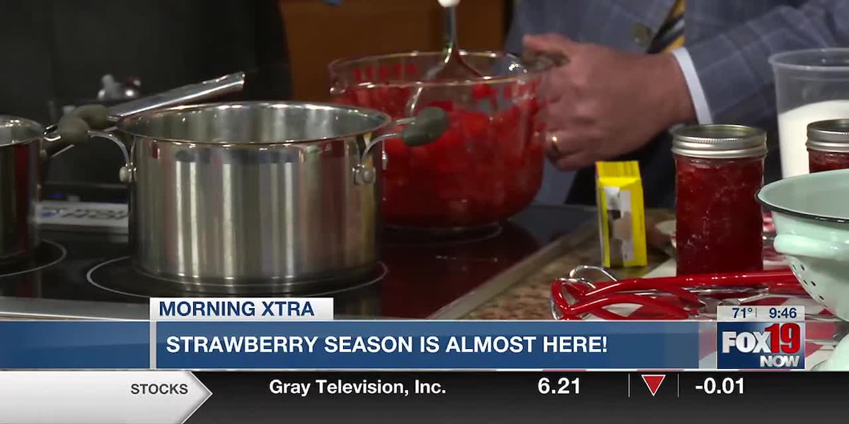 Strawberry season is almost here! [Video]
