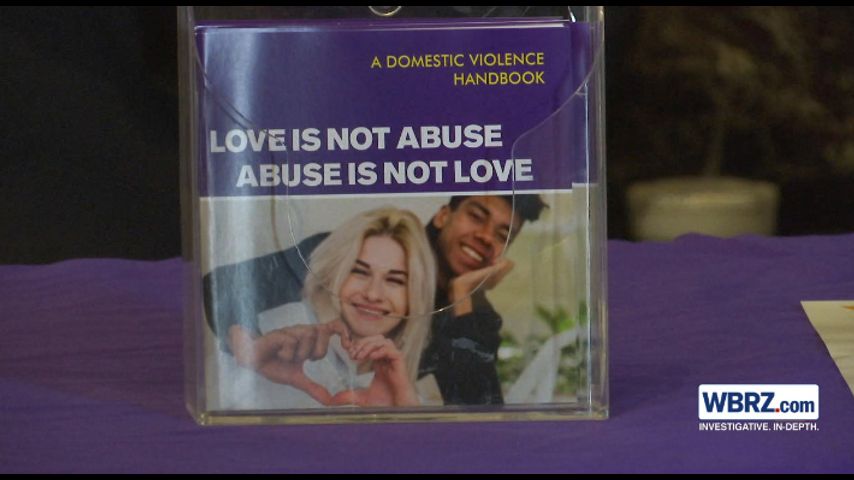 Advocates against domestic violence pleading to lawmakers for more money to help support victims [Video]