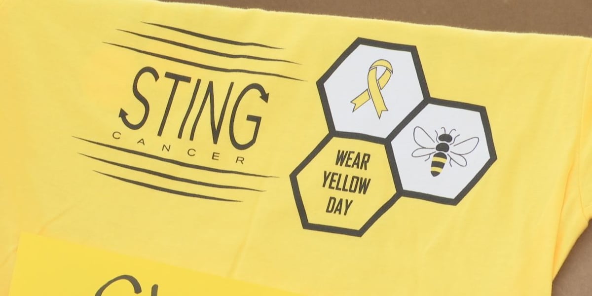 Wear yellow for Sting Cancer Day [Video]