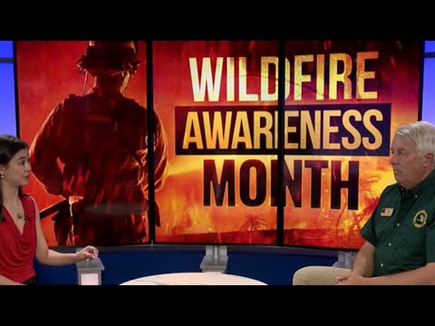 Mid-Michigan Matters: Wildfire prevention & preparedness [Video]