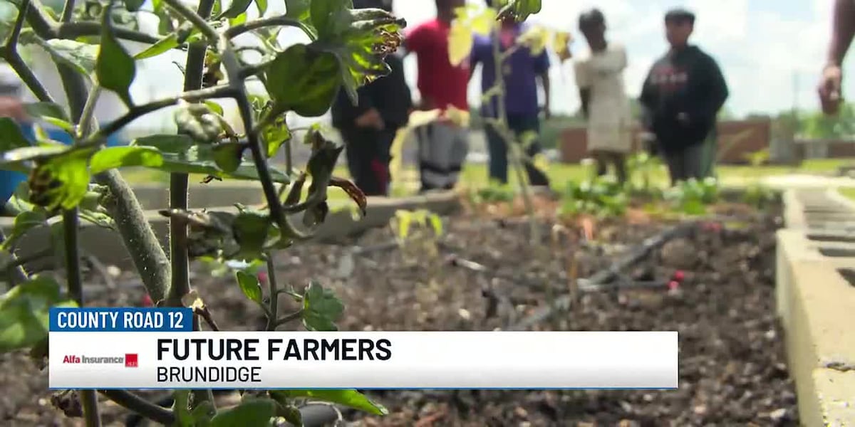 Pike County Elementary School principal molding future farmers [Video]