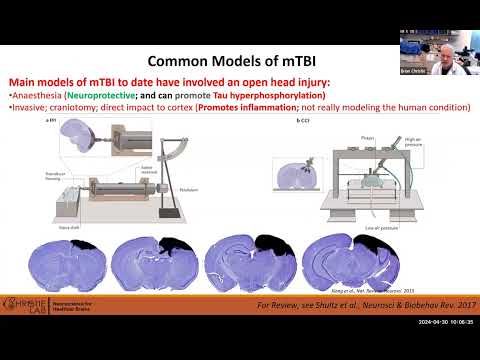 Precisionary Webinar: Brian Christie on “”Traumatic brain injury TBI changes in synaptic plasticity” [Video]