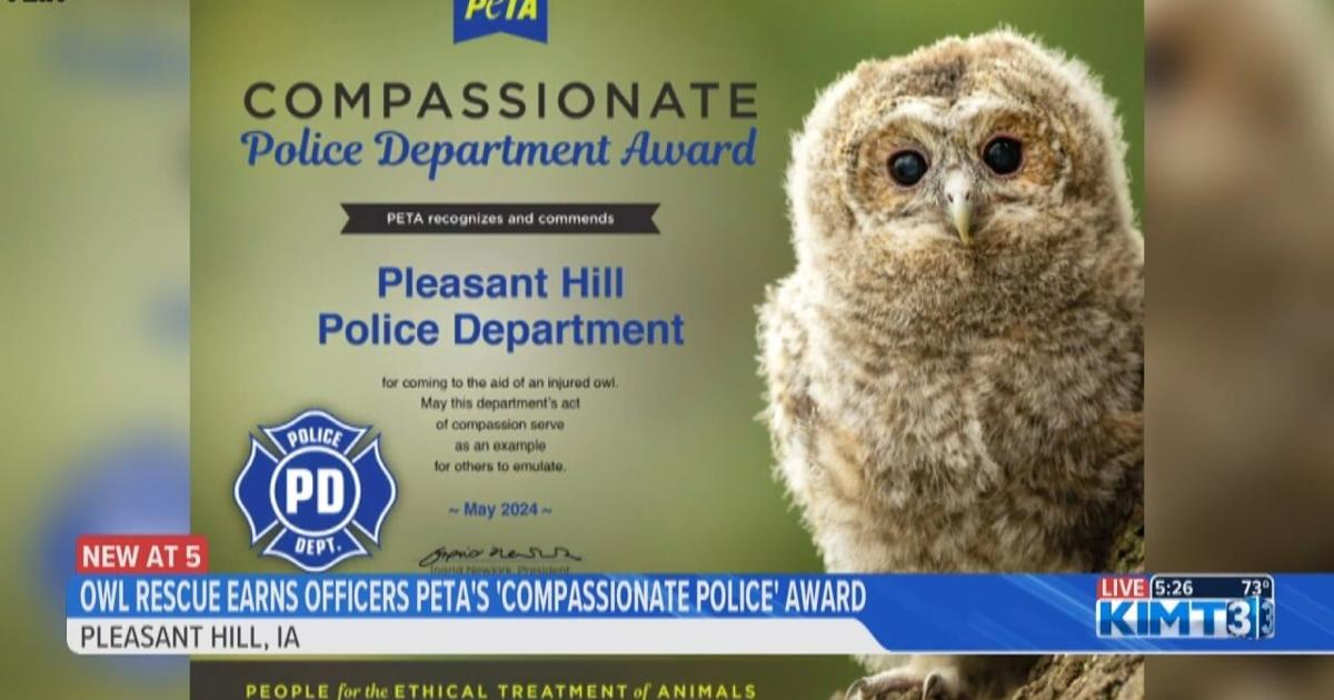 What a hoot! PETA awards Iowa officers for owl rescue after a tornado | News [Video]