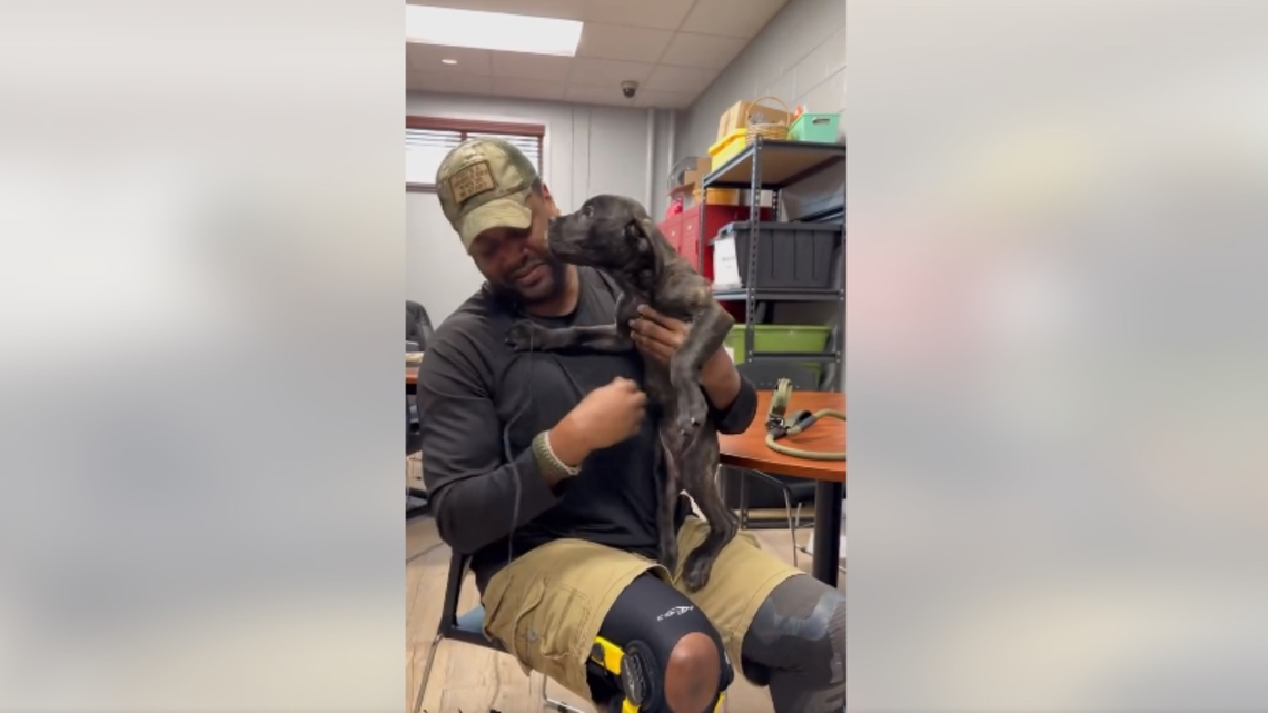 Military vet adopts service dog [Video]