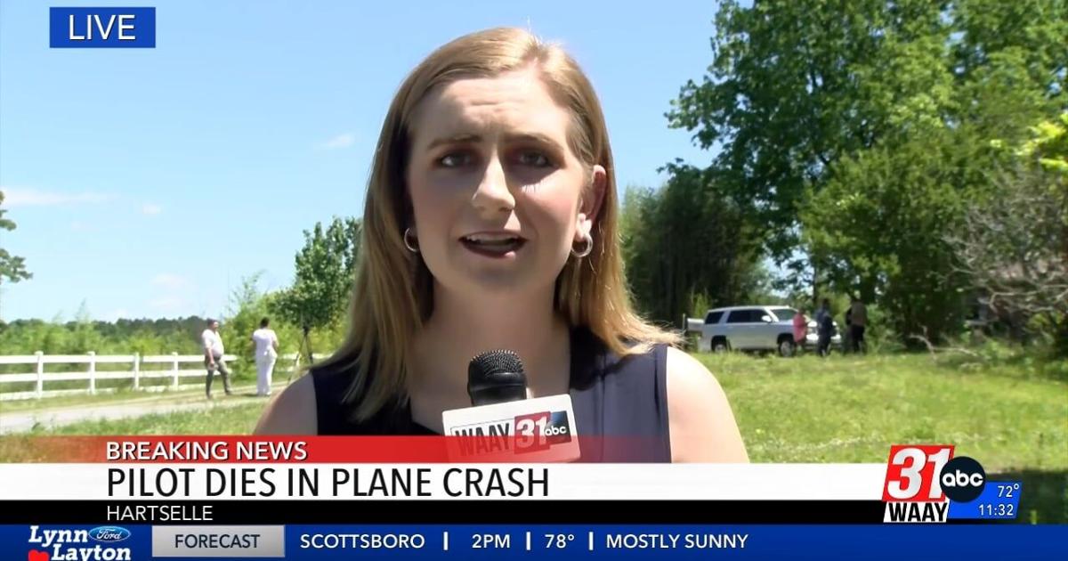 Pilot Dies in Plane Crash | Video