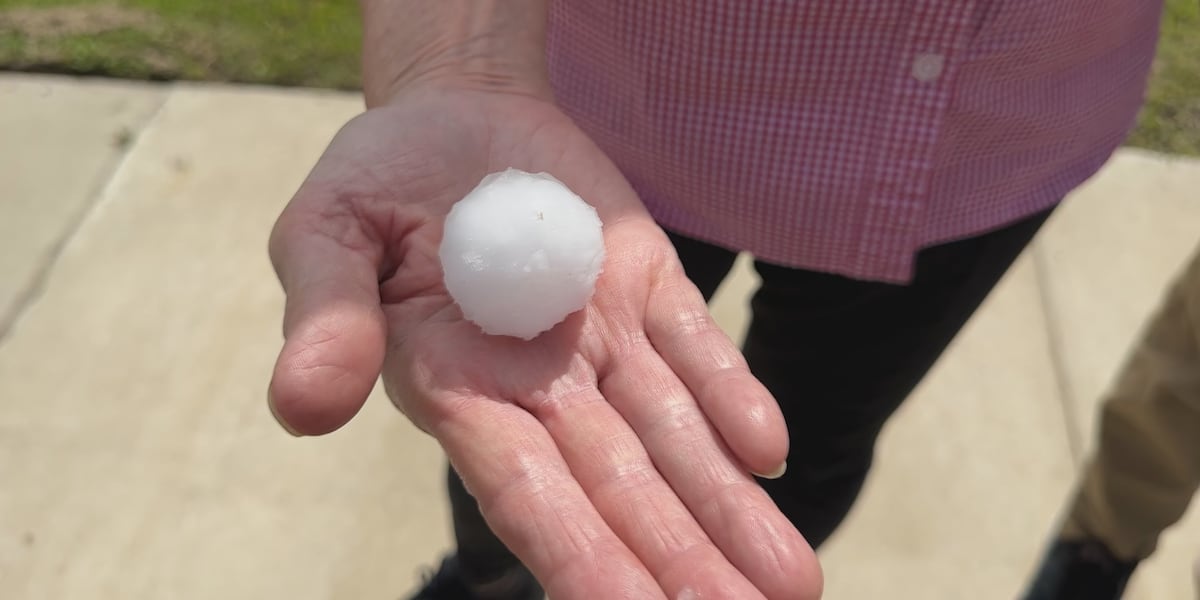 What to do if your home gets damaged by hail [Video]