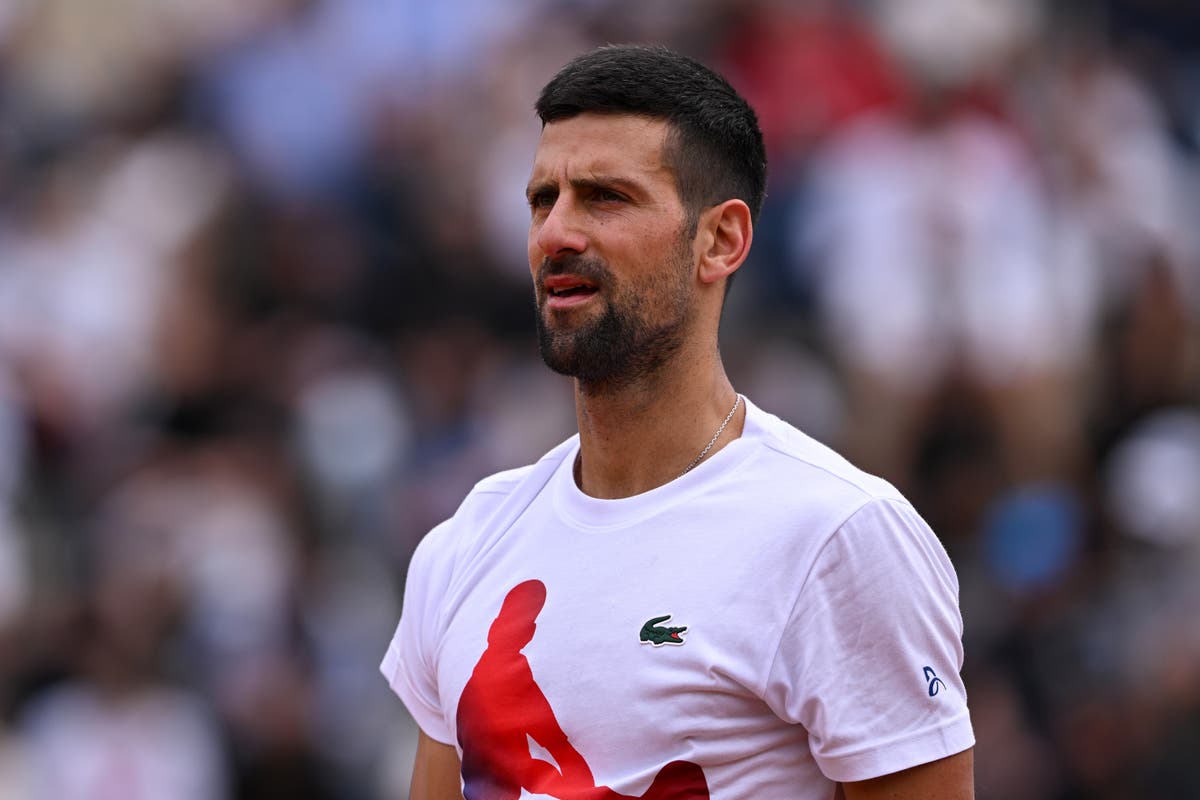 Novak Djokovic ‘fine’ after being hit in the head by water bottle at Italian Open [Video]