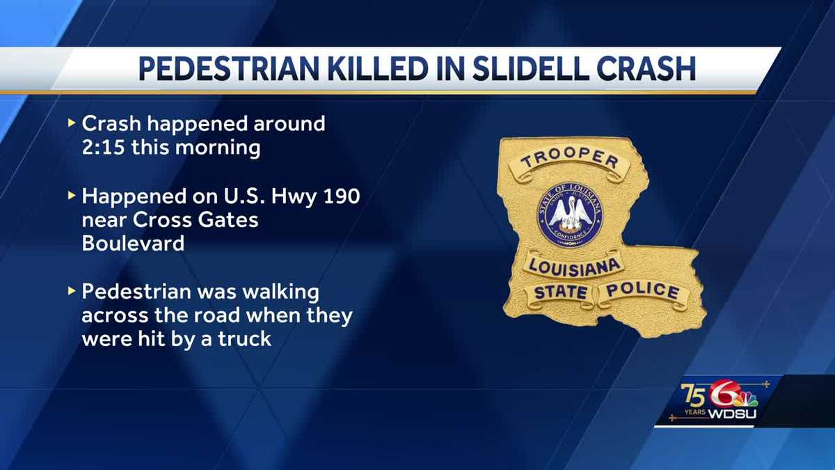 Louisiana State Police investigating a pedestrian hit and killed on U.S. Hwy 190 [Video]