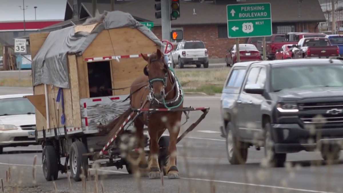 Man traveling across the US on his horse-drawn carriage [Video]