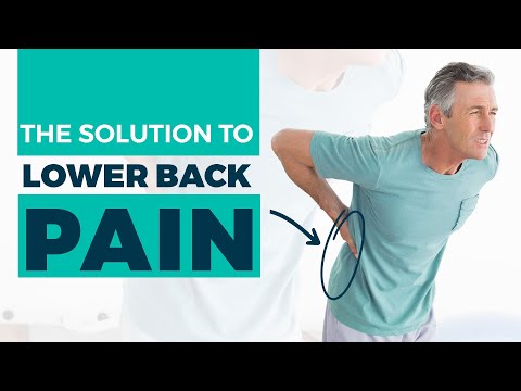 Tips & Exercises to Relieve Back Pain | A Guide to Easy Exercises [Video]