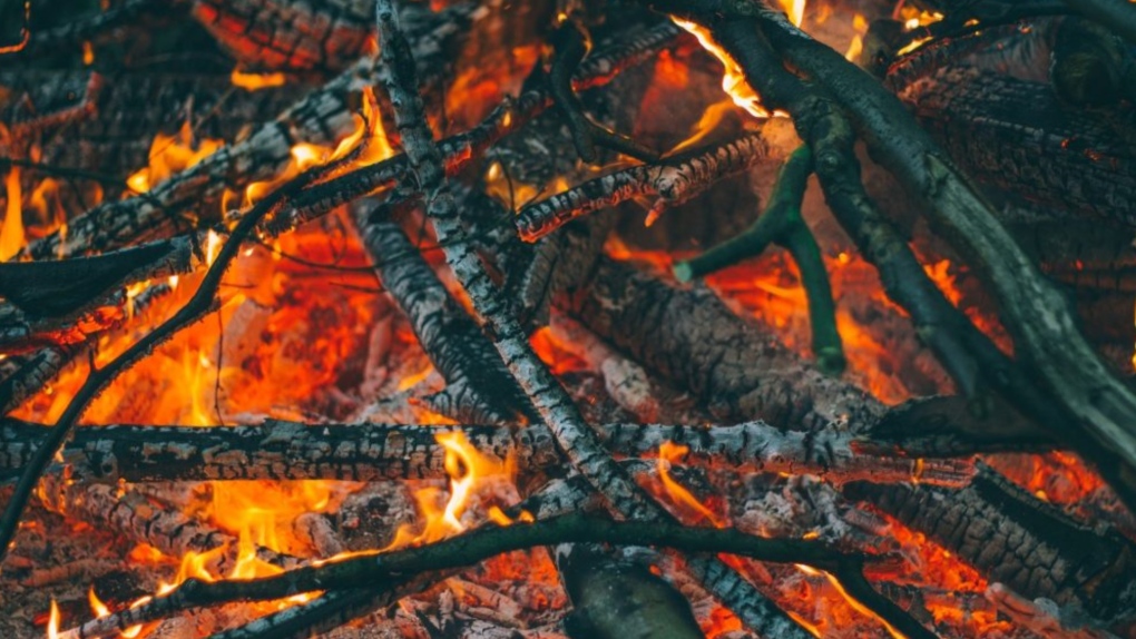 B.C. wildfires: Open burning ban coming to coastal B.C. [Video]