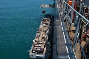 US military says first aid delivered to Gaza via temporary pier [Video]