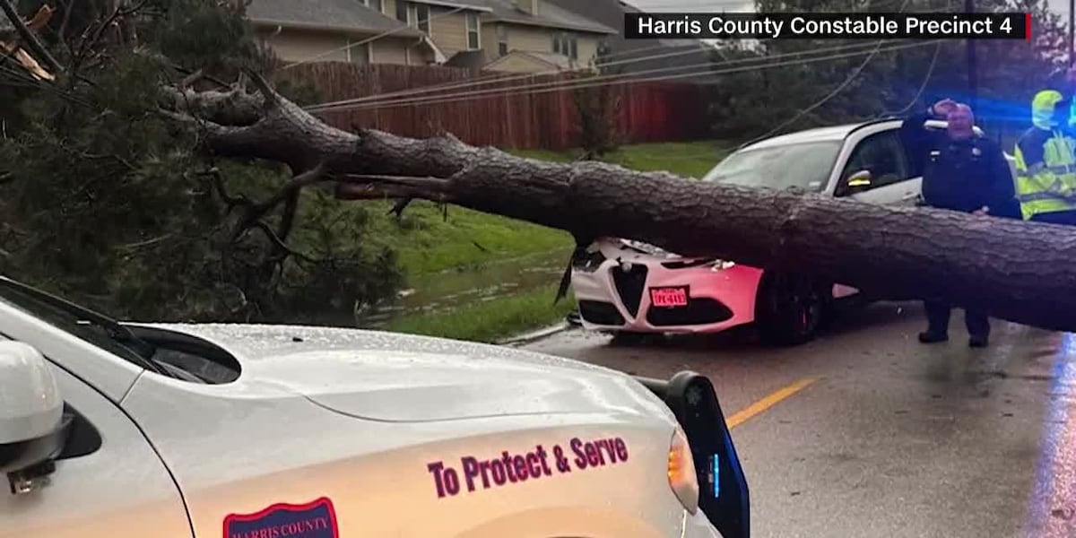 Tree falls on car in Harris County, Texas [Video]