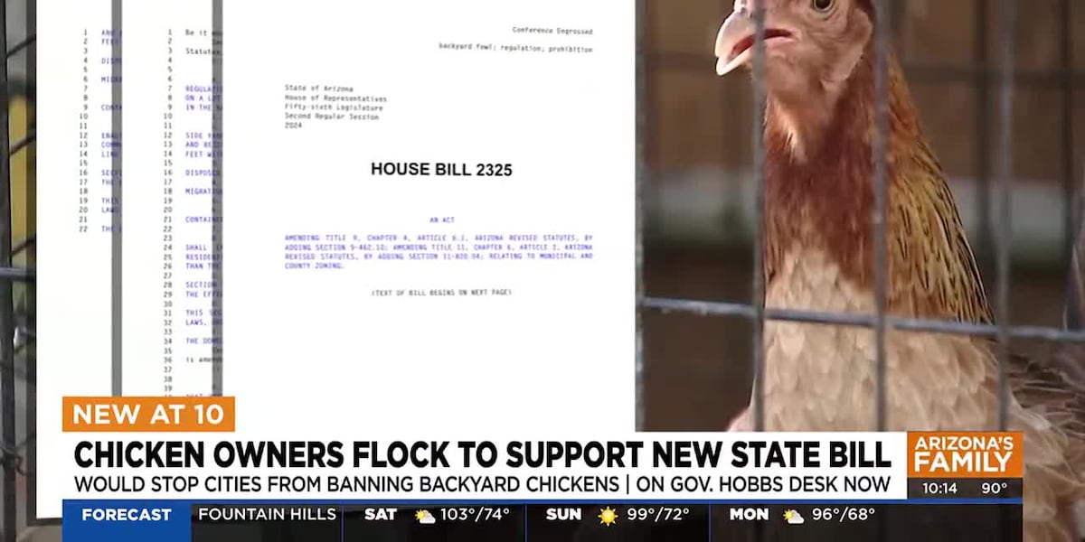 House Bill 2325 that allows more backyard chickens sits on Gov. Hobbs desk [Video]
