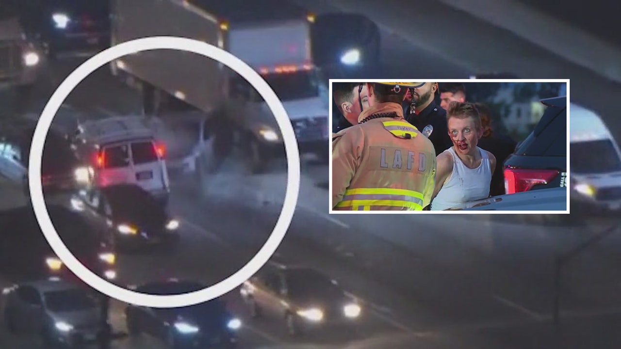 LA police chase ends in multi-vehicle crash on 405 Freeway [Video]