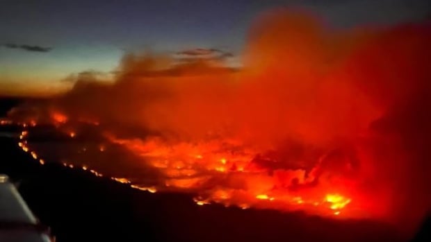 Officials outline B.C. wildfire supports amid ‘harrowing times’ [Video]