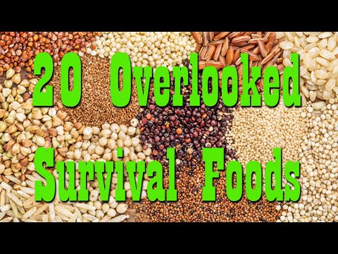 20 Overlooked Survival Foods ~ Food Storage Preparedness [Video]