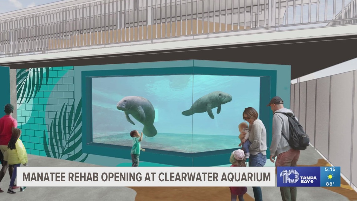 Clearwater Marine Aquarium opening new manatee rehabilitation center [Video]
