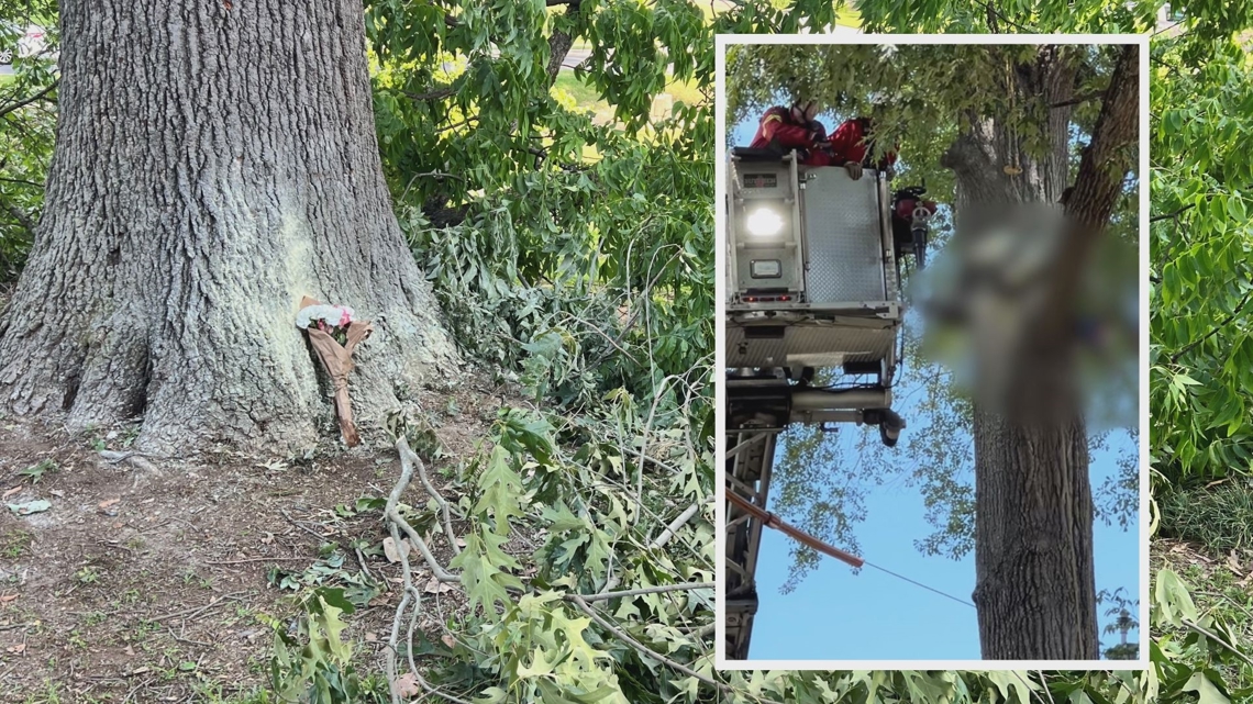 Man electrocuted, killed cutting trees in Acworth, Georgia [Video]