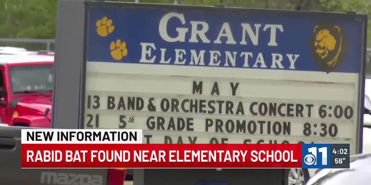 Bat With rabies found at elementary school [Video]