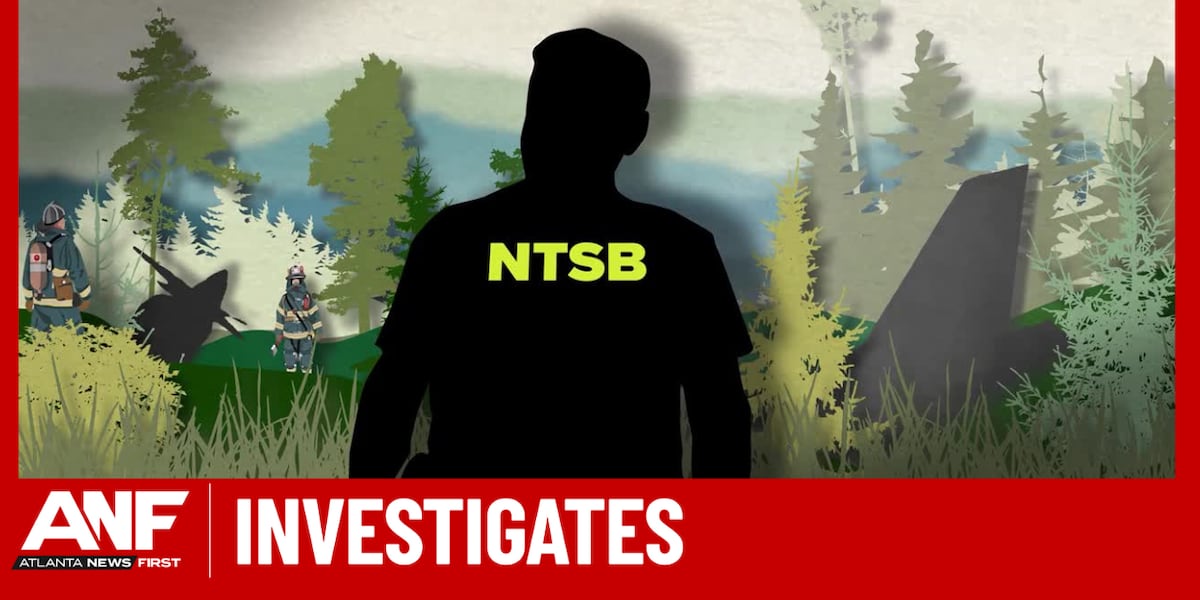 NTSB aviation investigations questioned over reliance on outside help [Video]