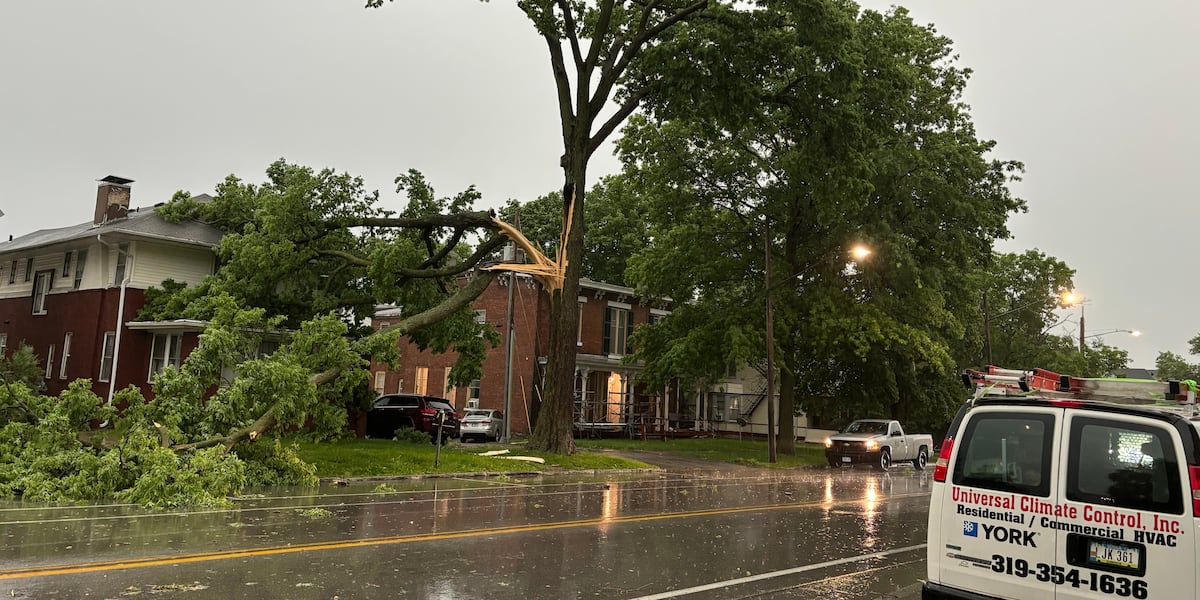 Part of North Dodge Street closed as Iowa City crews respond to reports of downed trees [Video]