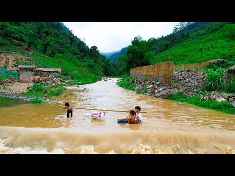 The farm is flooded – Animal Rescue During Natural Disasters – Sang Vy Garden, ducks, chickens, fish [Video]
