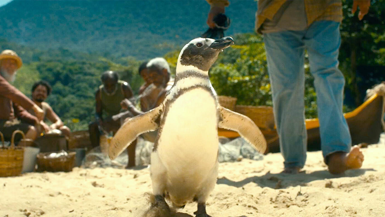 Sweet Official Trailer for My Penguin Friend [Video]