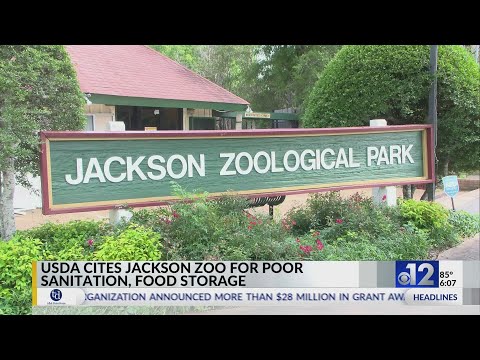 USDA cites Jackson Zoo for poor sanitation, food storage [Video]