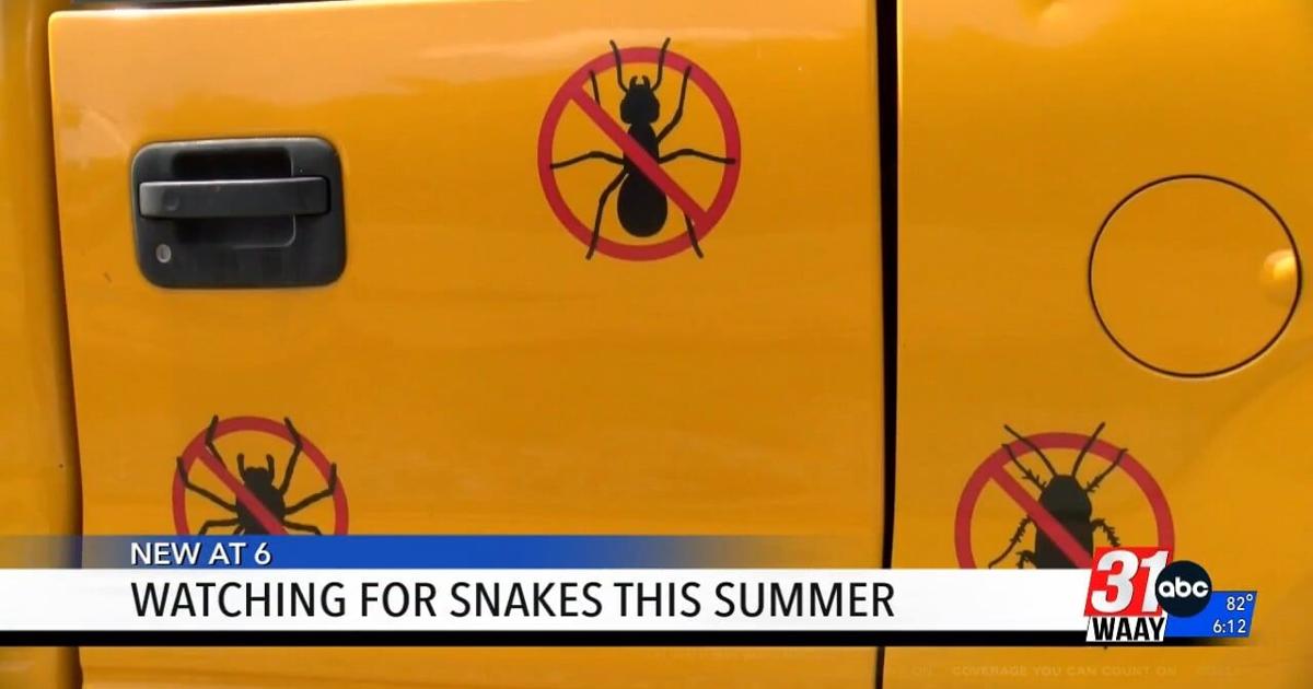 Watching for snakes this summer | Video