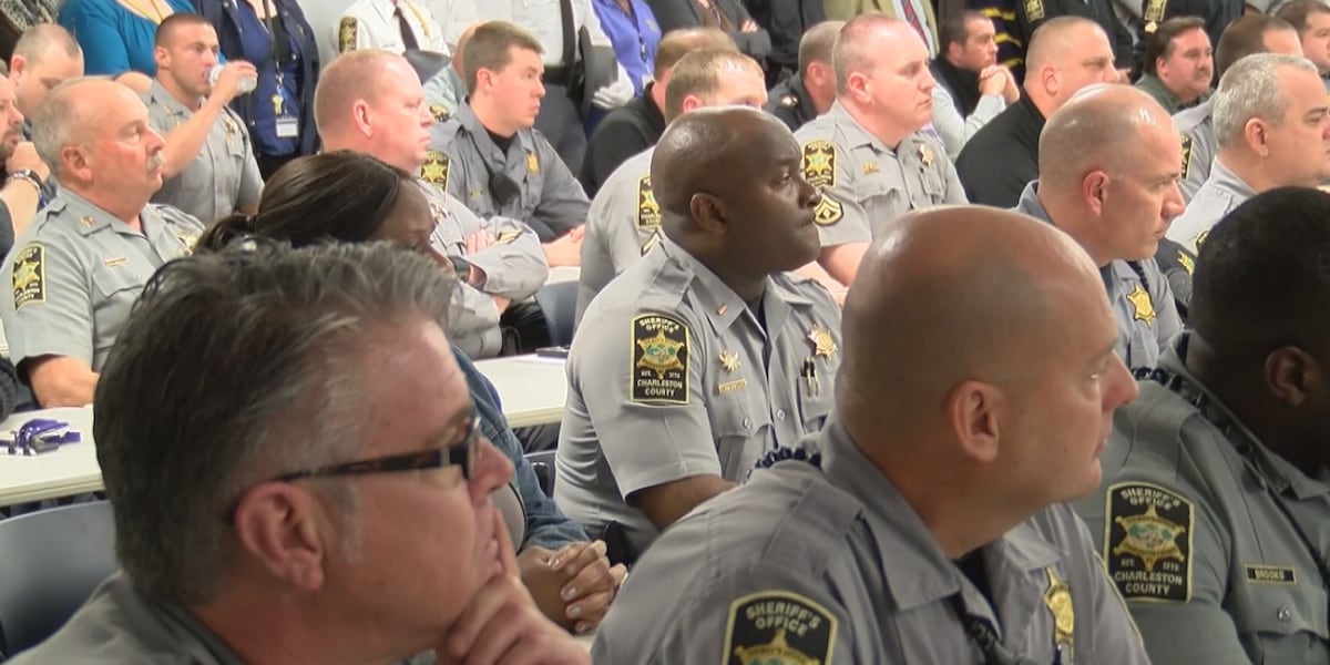 Charleston Co. 911 seeks grant for violence prevention program [Video]