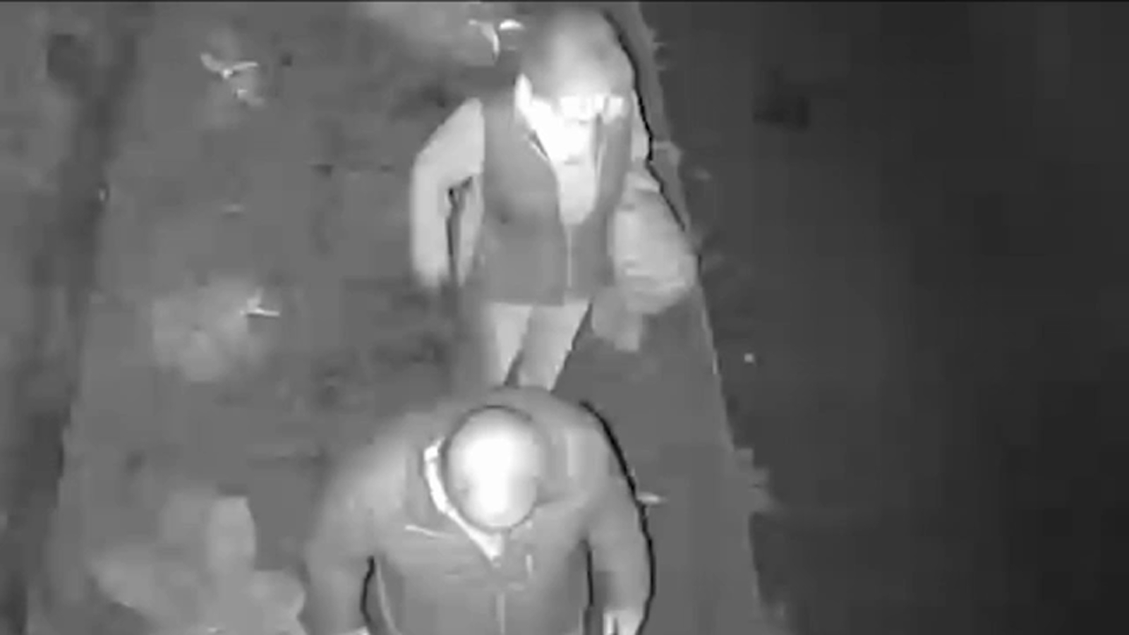 Westchester vandalism: Security video shows older couple destroying plants outside of a home in Edgemont