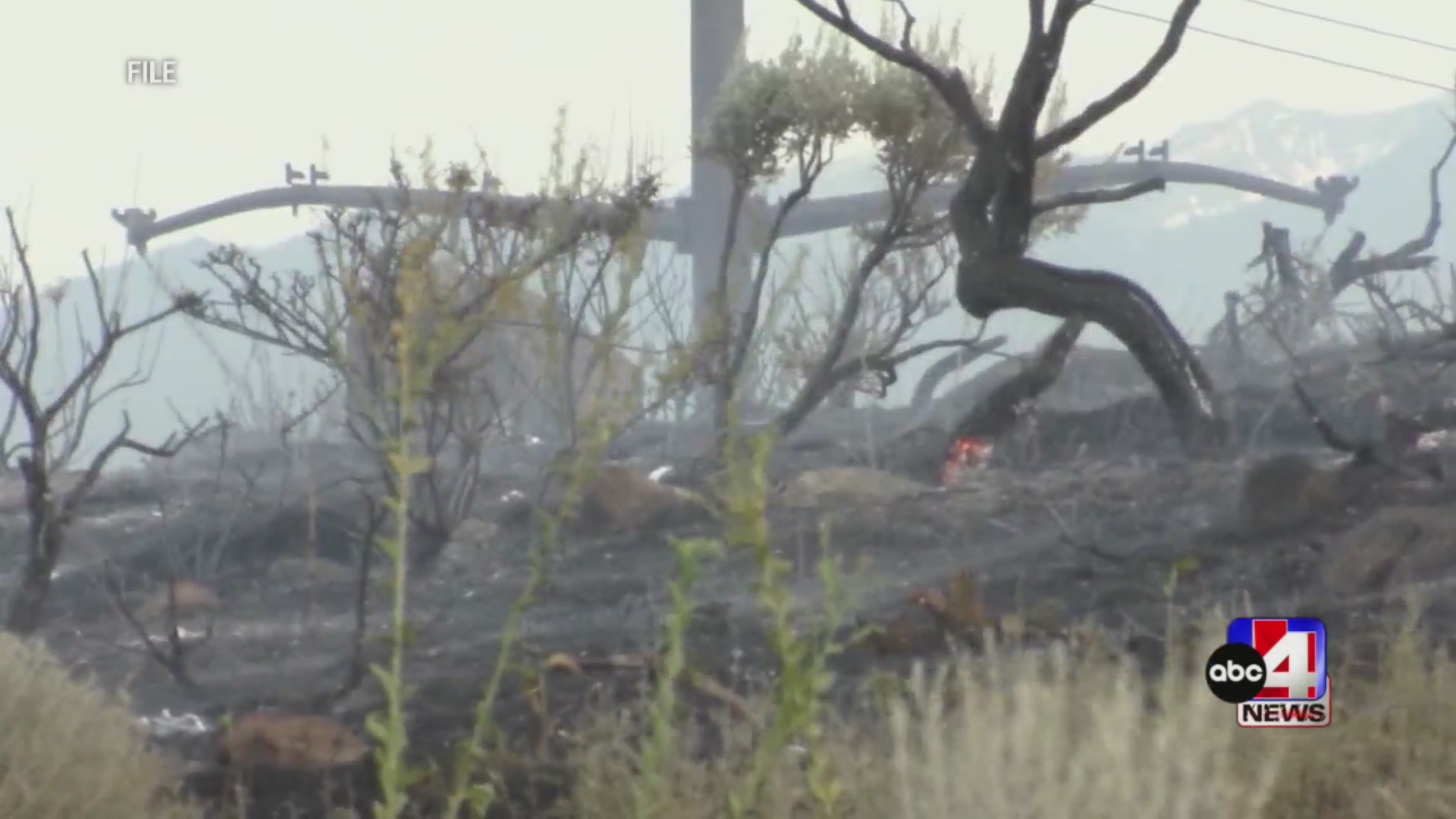 May is National Wildfire Awareness Month  heres what you need to know  ABC4 Utah [Video]