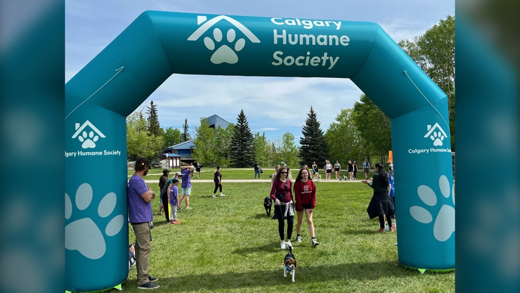 Calgary Humane Society hosts a Dog Jog [Video]