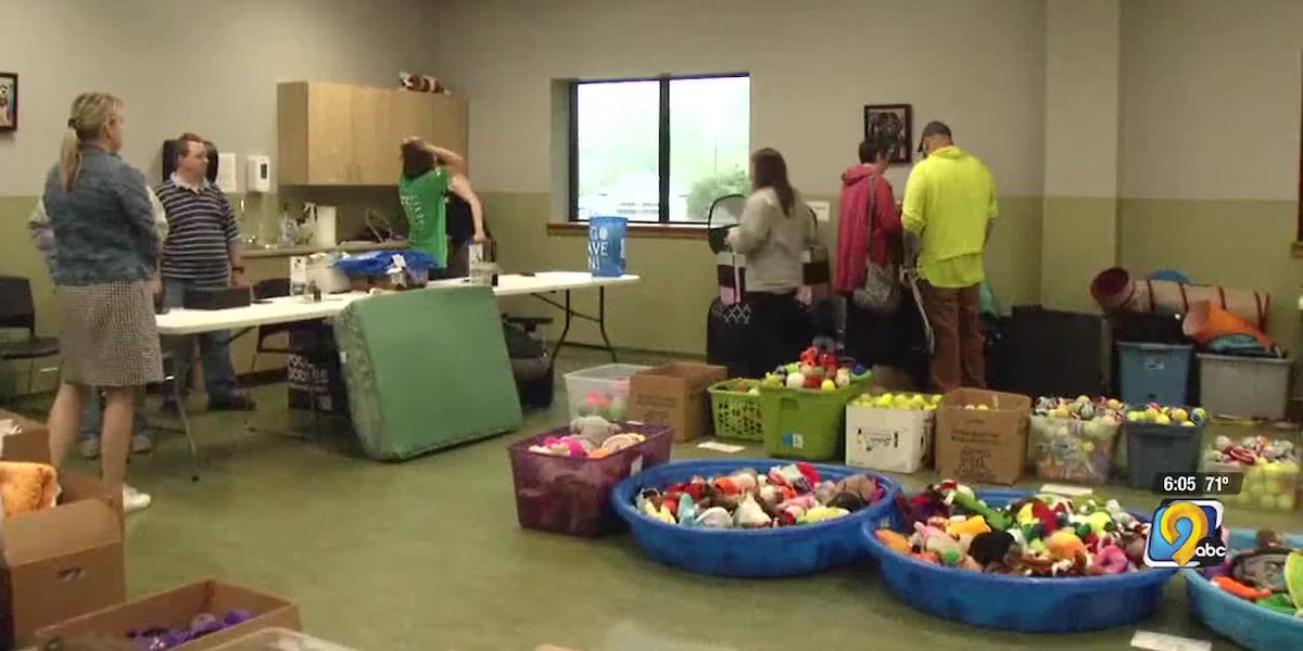 Dubuque animal shelter raises money with annual pet supply sale [Video]