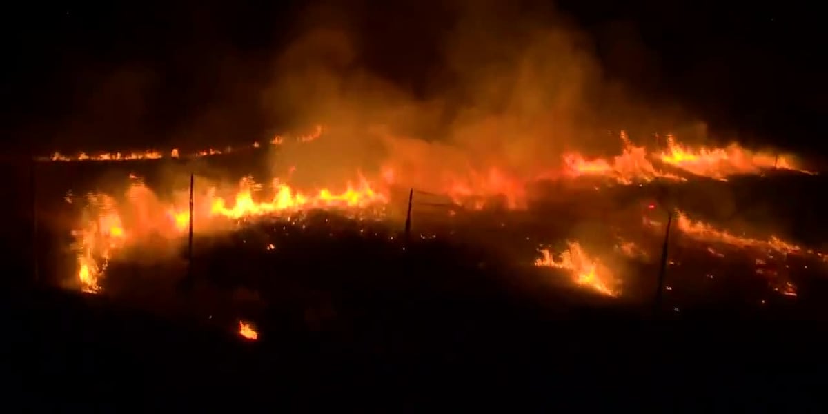 California firefighters battle wind-driven wildfire east of San Francisco overnight [Video]