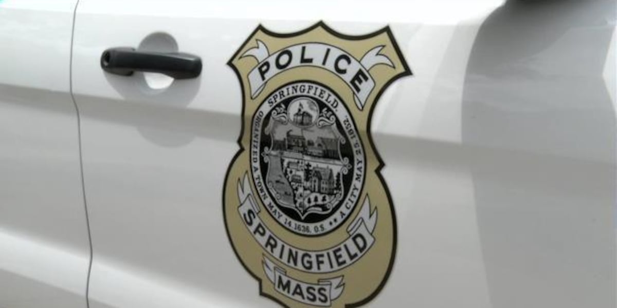 Woman struck and killed by vehicle in Springfield [Video]