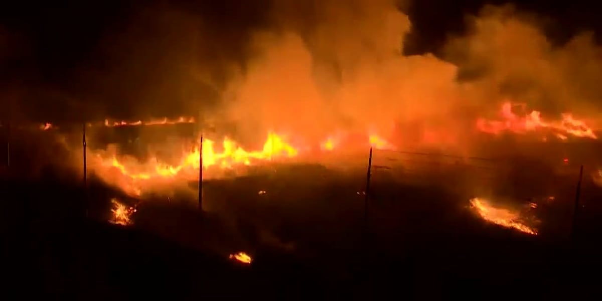 Growing California wildfire forces residents to evacuate [Video]