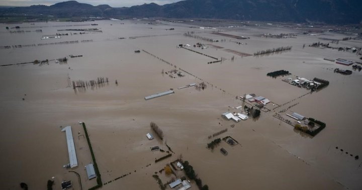 B.C. mayors dumbfounded after Ottawa rejects bid for flood prevention cash [Video]