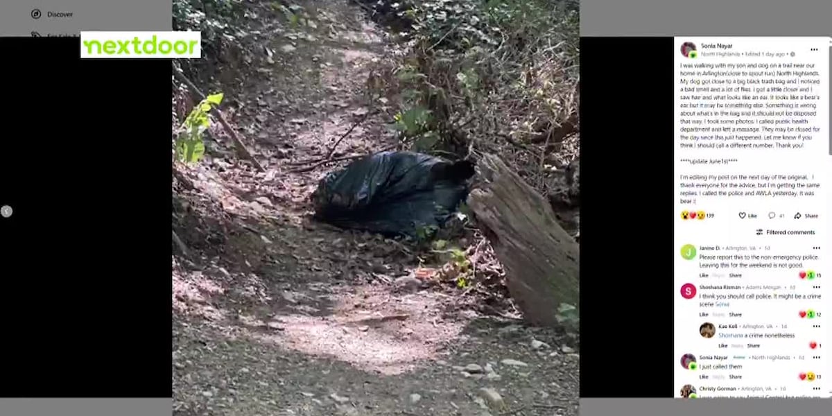 Woman finds dead black bear in trash bag while on hike [Video]