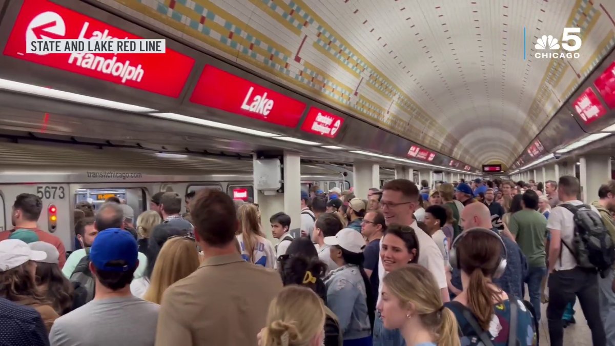 Medical emergency halts CTA Brown, Purple line trains in downtown Chicago  NBC Chicago [Video]