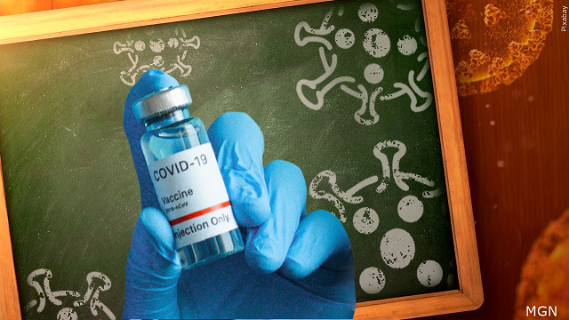 FDA Advisers Urge Targeting JN.1 Strain In Recipe For Fall COVID Vaccines [Video]