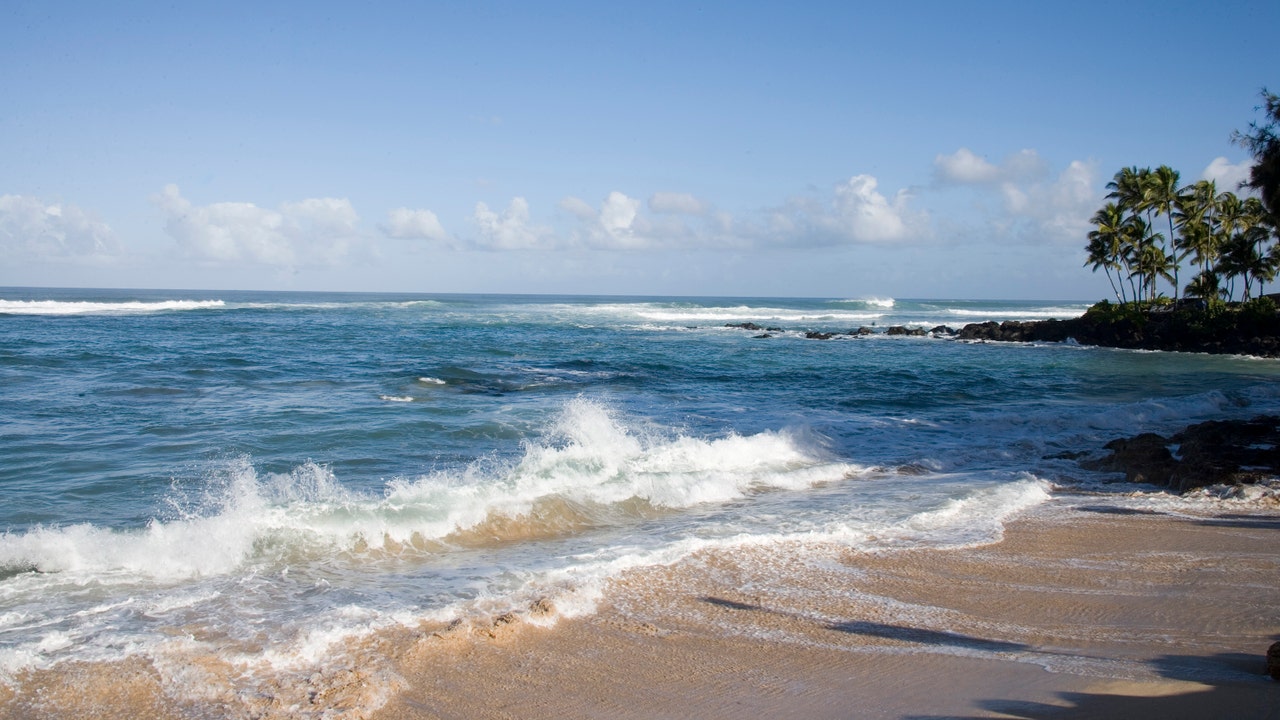 Shark attack off Hawaii